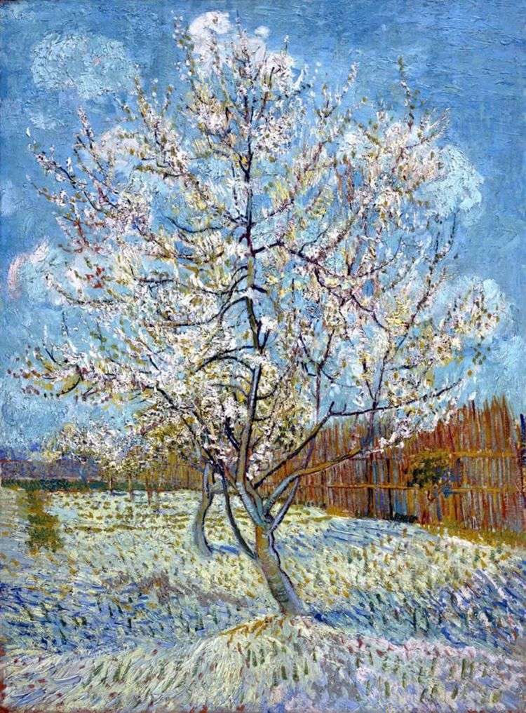 Персиковое дерево в цвету   Винсент Ван Гог