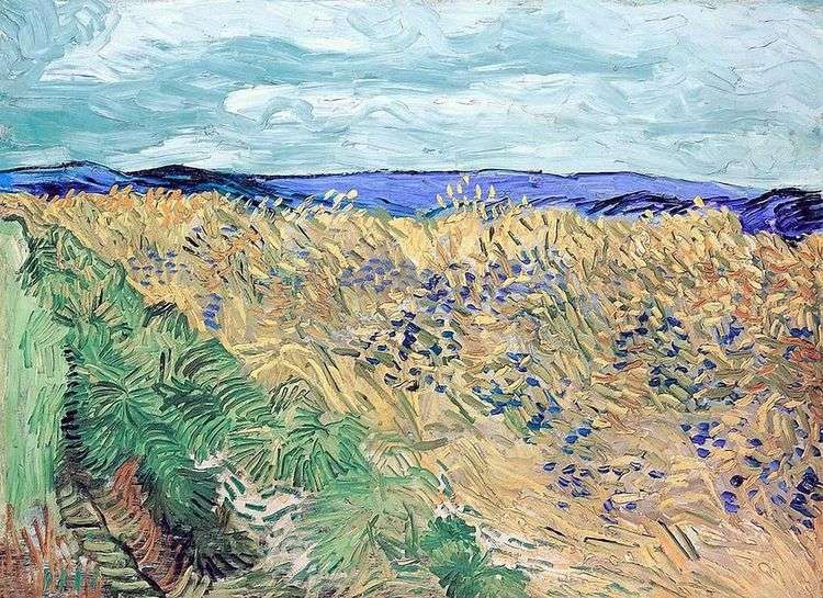 Пшеничное поле с васильками   Винсент Ван Гог